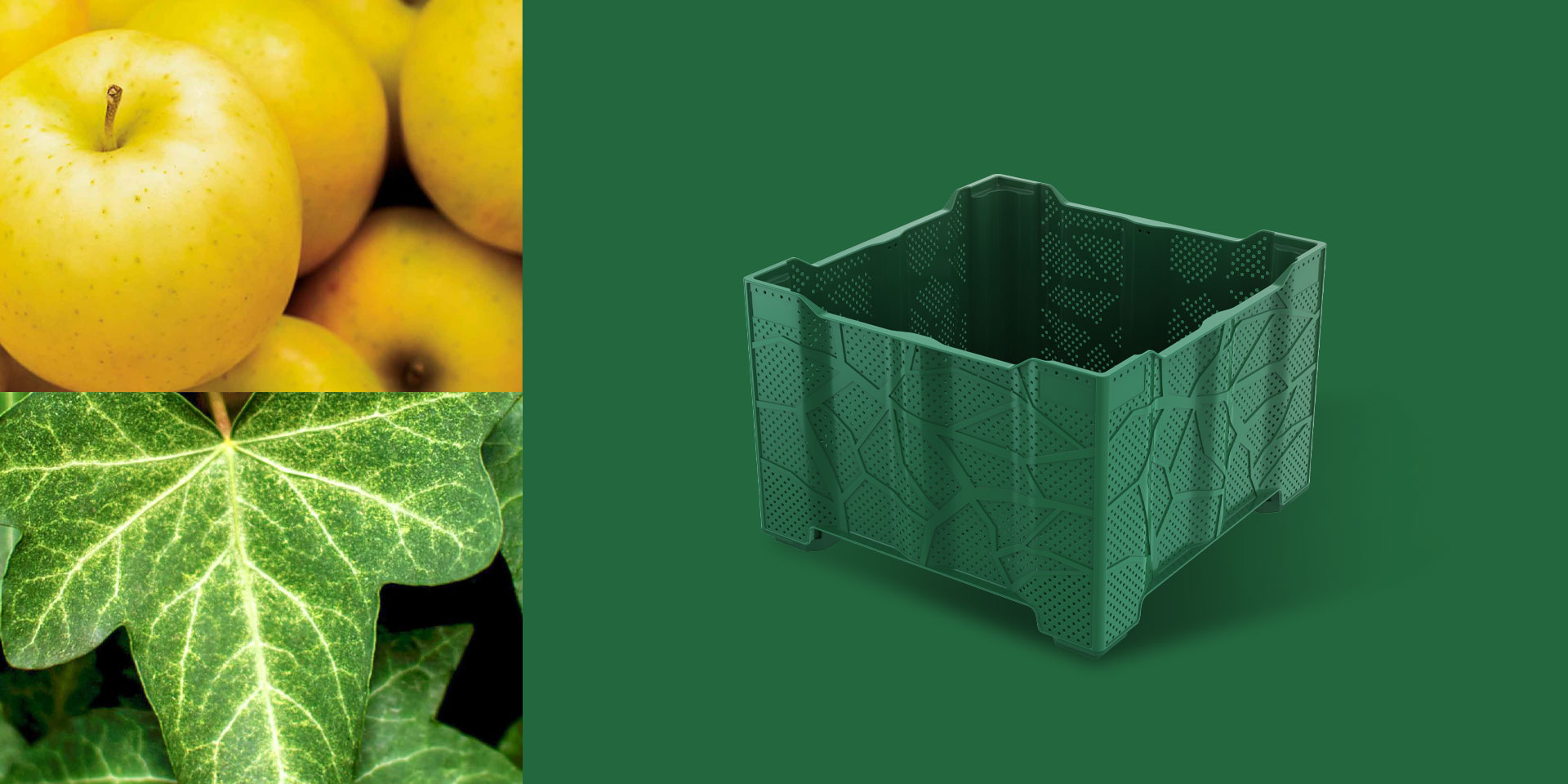 Ivy, A New Crate Concept for Harvesting Apples