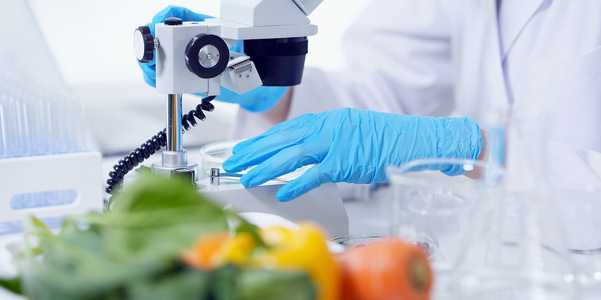 In Singapore, the future of food begins in the laboratory 