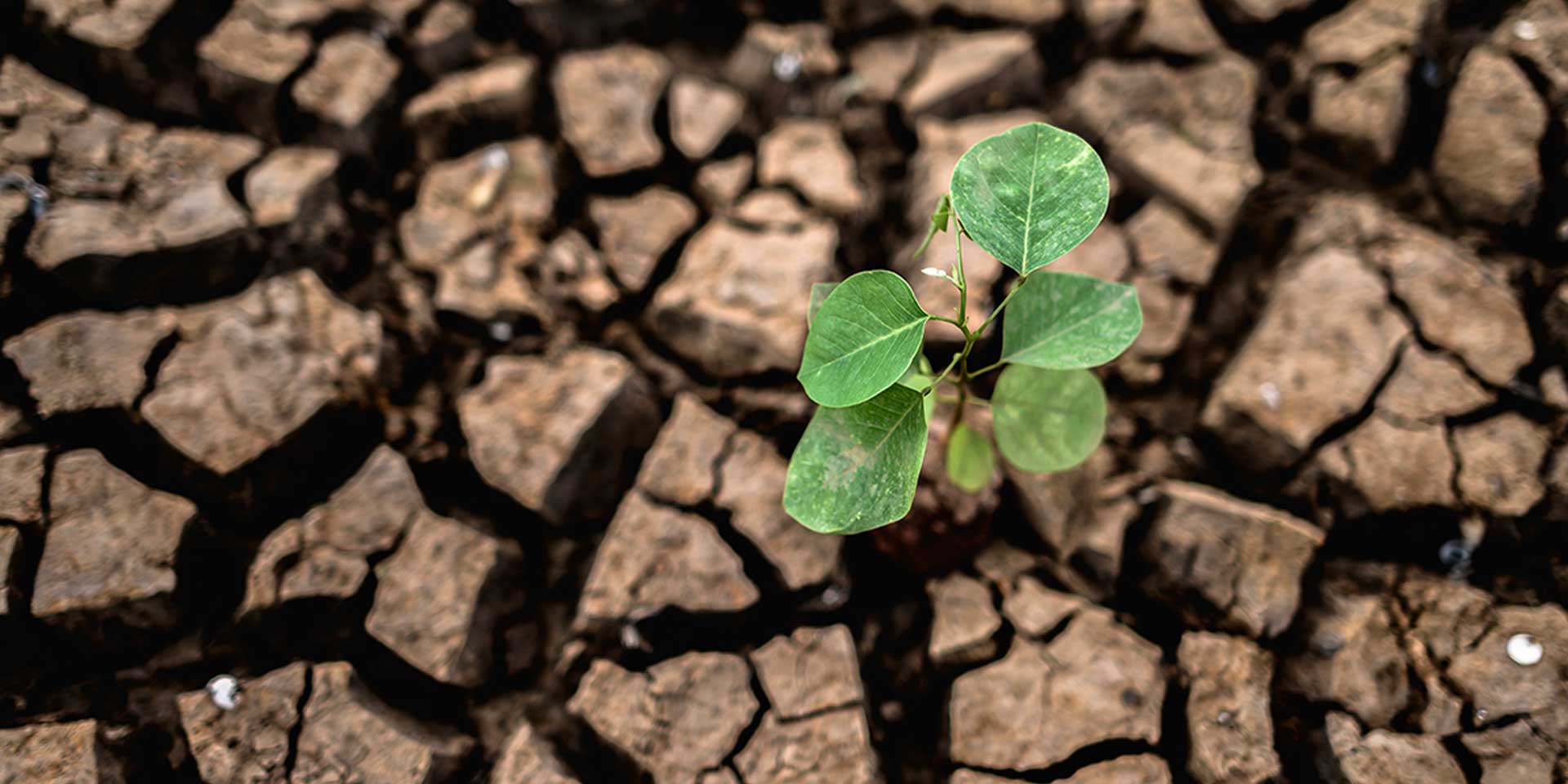 Italia: siccità e carenza d’acqua. Corsa contro il tempo