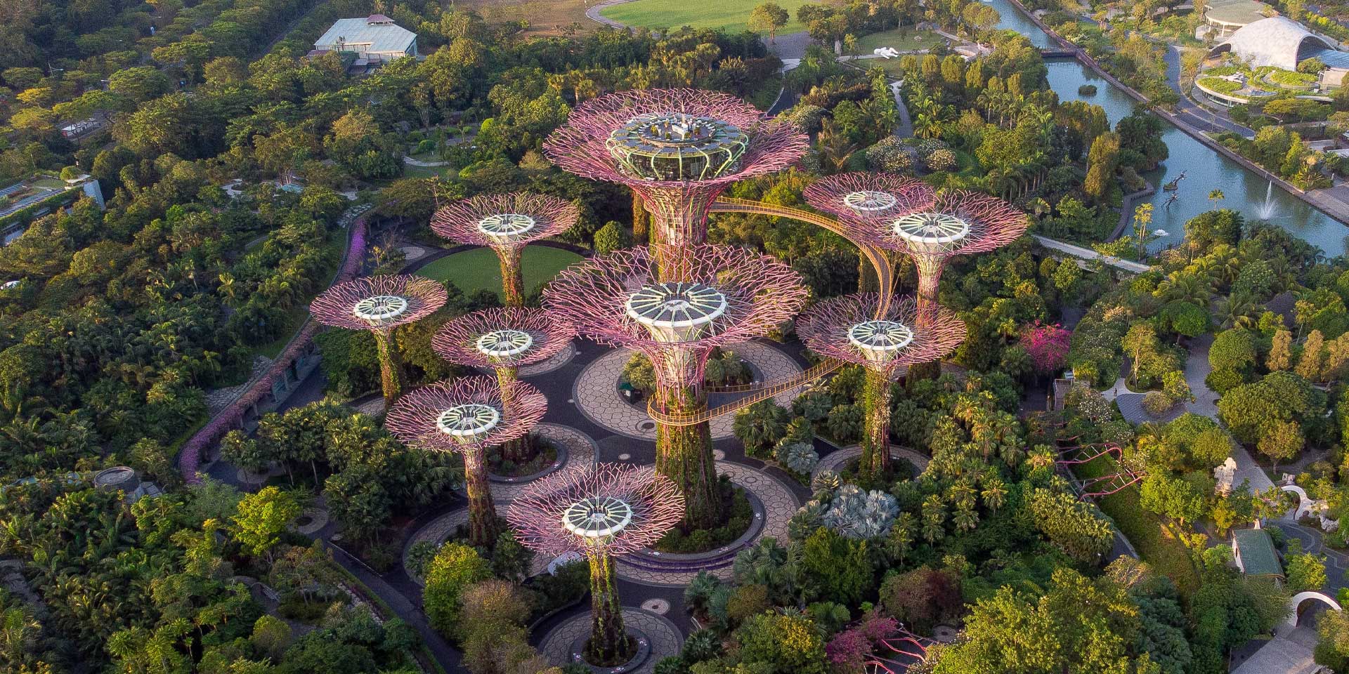 Cooling the city a step away from the equator